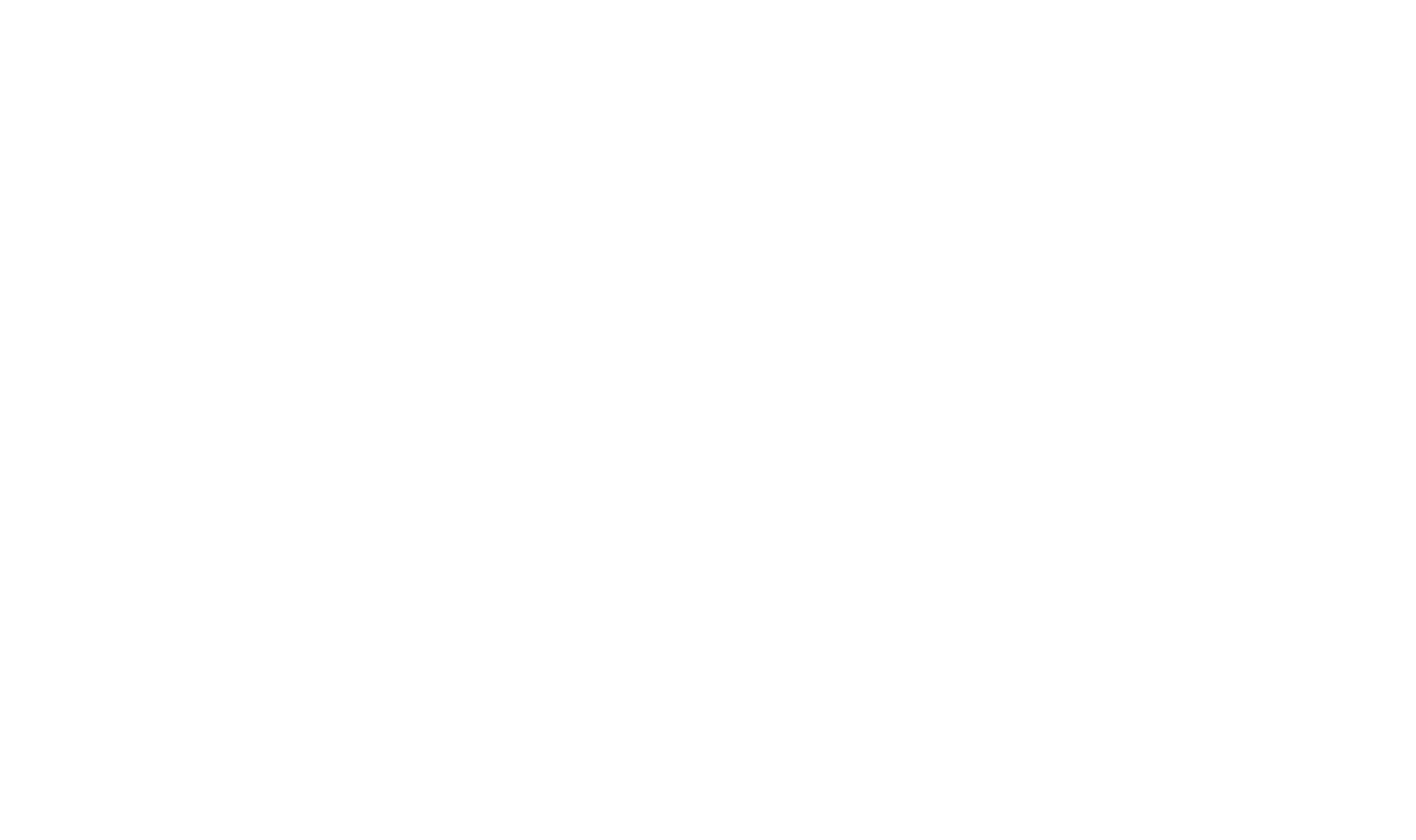 light logo
